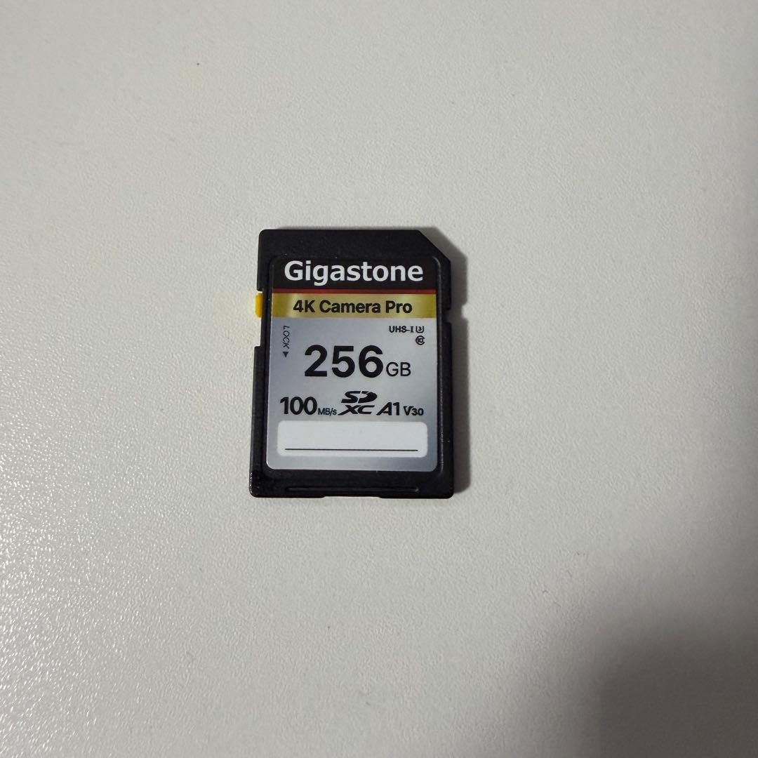 Canon PowerShot SX740 HS 本体 ＆ケース&SDカード