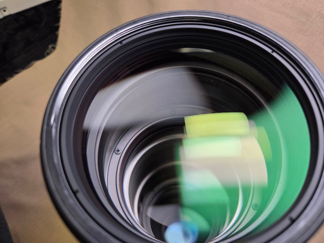 ニコン AF-S NIKKOR 500mm f/5.6E PF ED VR