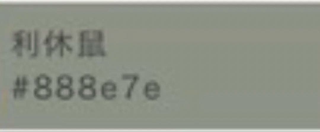 未使用近い　美品　袷　正絹　上質紬　ぜんまい紬　小紋　フルセット　4点