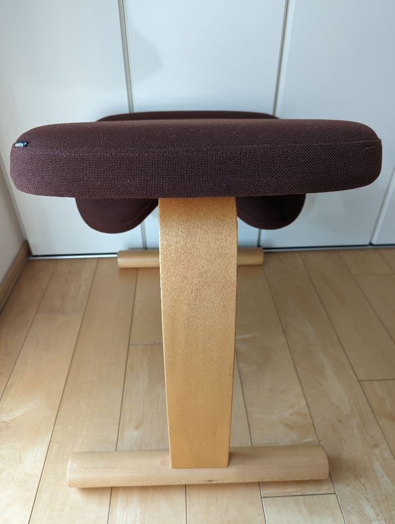 サカモトハウス　バランスイージーチェア　専用カバー付