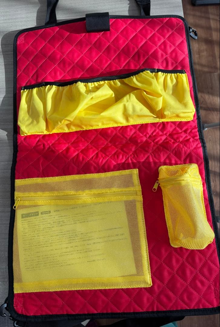 DWE ディズニー ミッキーメイト 2024年購入 カーポケット付き　⭐︎美品⭐︎