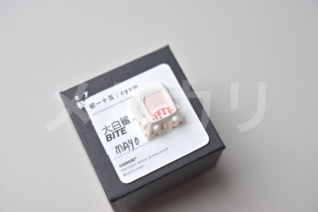 CYSM 初一十五 BITE 3set