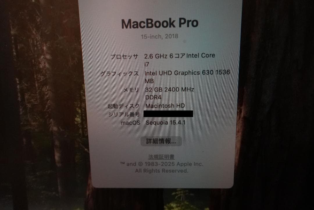 MacBook Pro 2018 メモリ32GB Core i7 注意事項あり