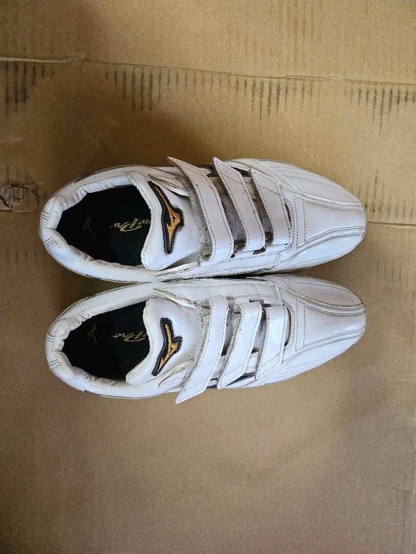 ミズノプロ　オーダースパイク　2９cm