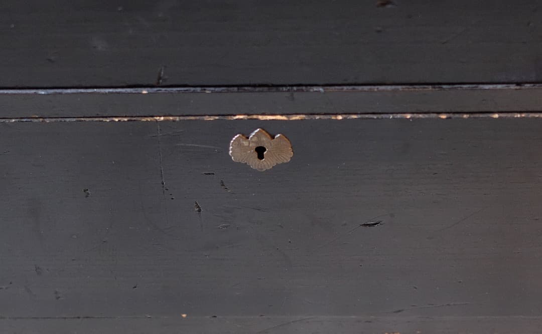 11/8迄出品 桐材漆塗時代箪笥（京都） ② 京箪笥 アンティーク