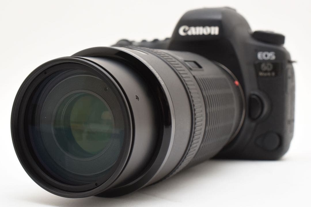 デジタルカメラ Canon EOS 6D Mark II /Canon EF 100-300mm