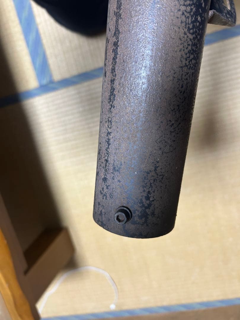 レオちん