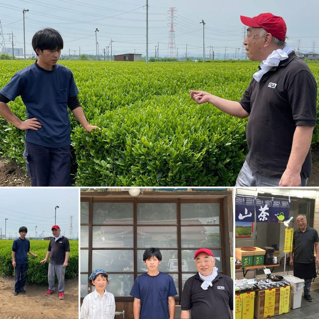 【専用】新茶☆煎茶x66本(令7年産)一番茶☆深蒸し緑茶☆日本茶☆お茶☆狭山茶
