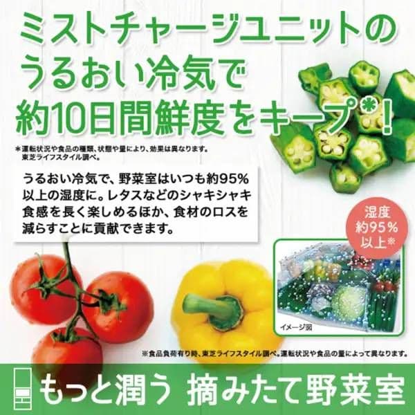 東芝冷蔵庫VEGETA GR-U500GZL-ZH 501L 5ドア