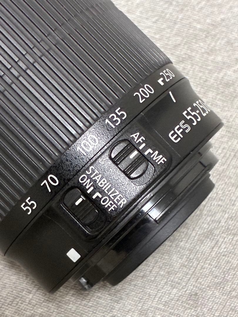 ⭐️美品⭐️Canon EF-S55-250mm IS STM フード付き望遠レンズ