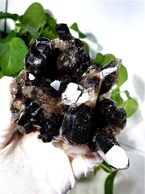 AAA級【魔除け】◆天然モリオン(黒水晶）クラスターYT8C6/149C19A