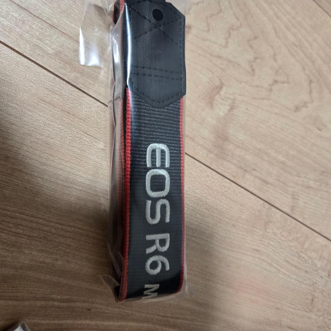 EOS R6 Mark II・RF24-105 IS STM レンズキット