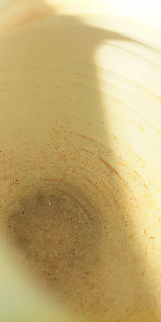 朝鮮美術 白釉垂瓶陽刻浮彫 銘在 白磁蓮紋丸壺