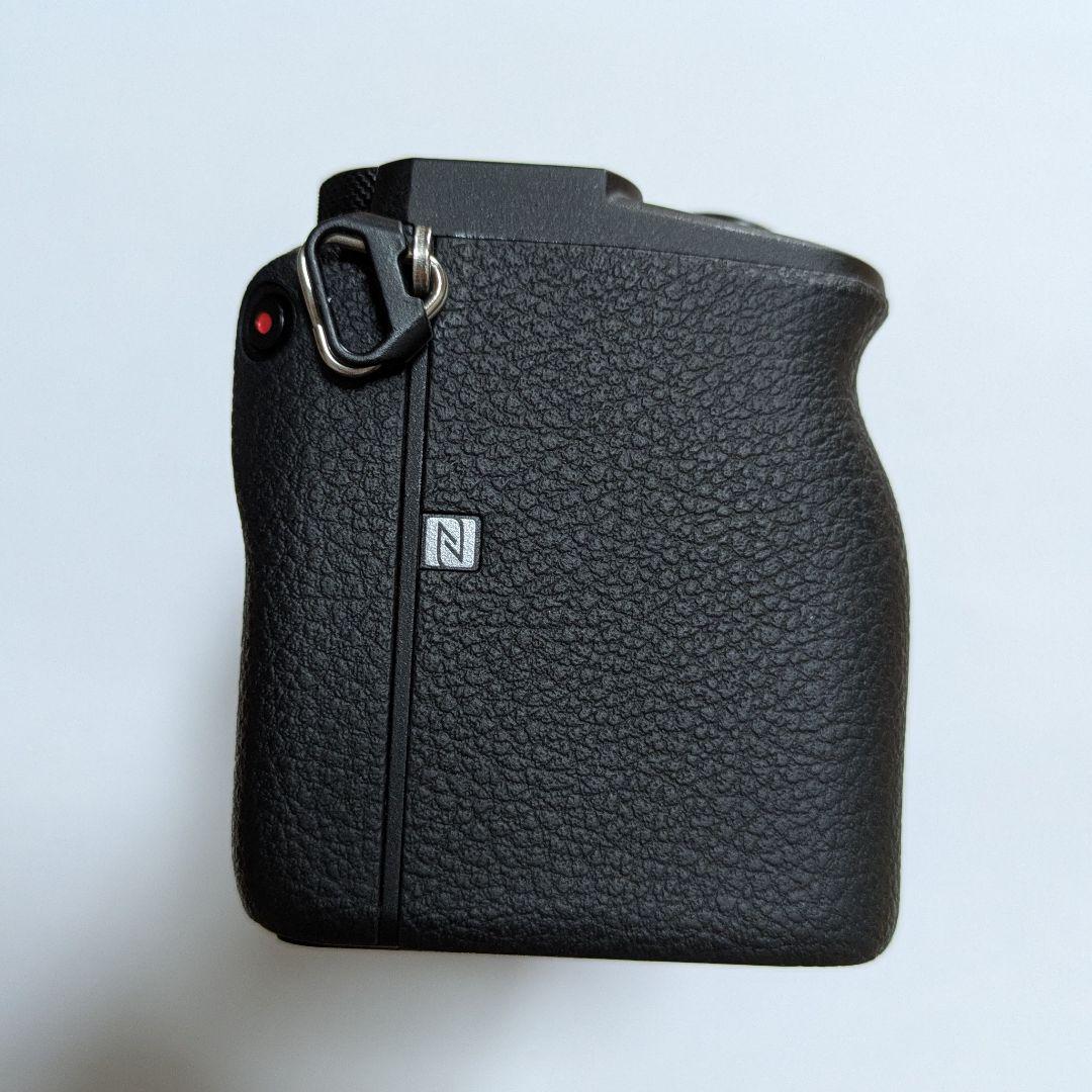 【美品】SONY α6600 ILCE-6600 ボディ バッテリー 充電器