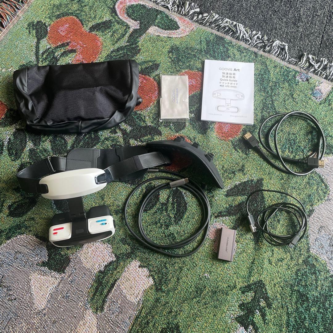 その他 GOOVIS Art