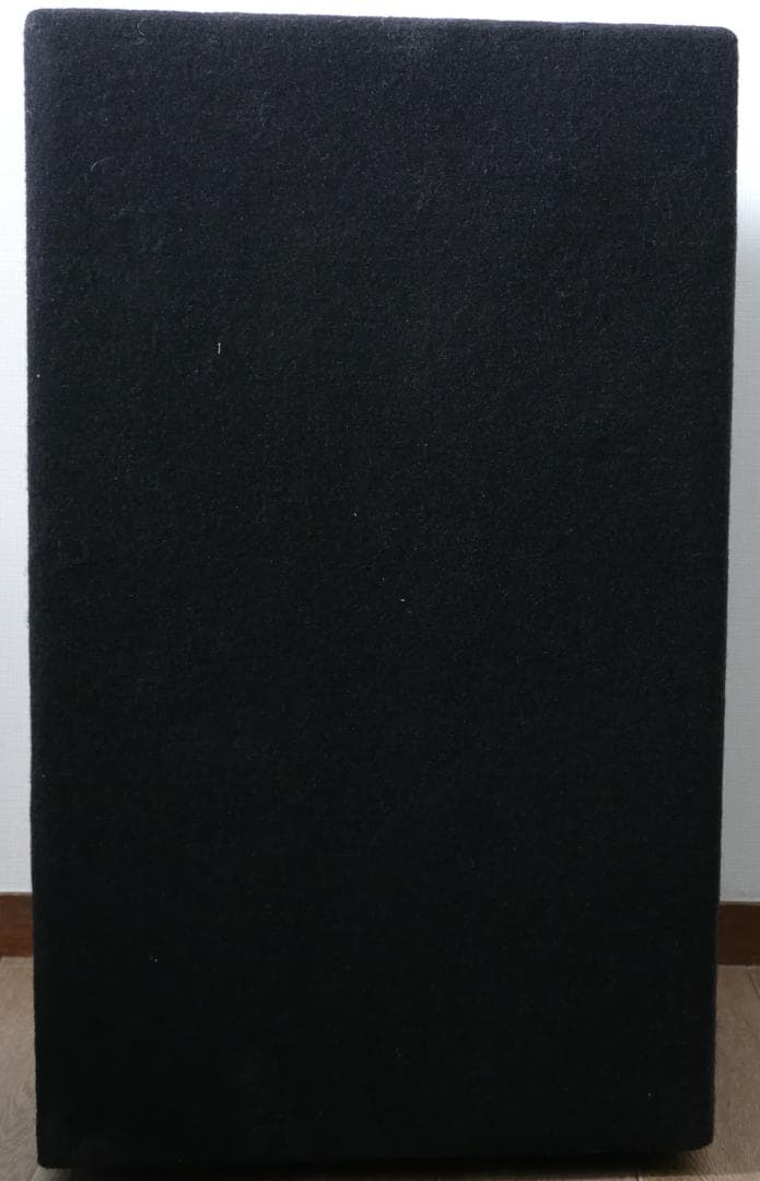 Electoro Voice Force i ペア