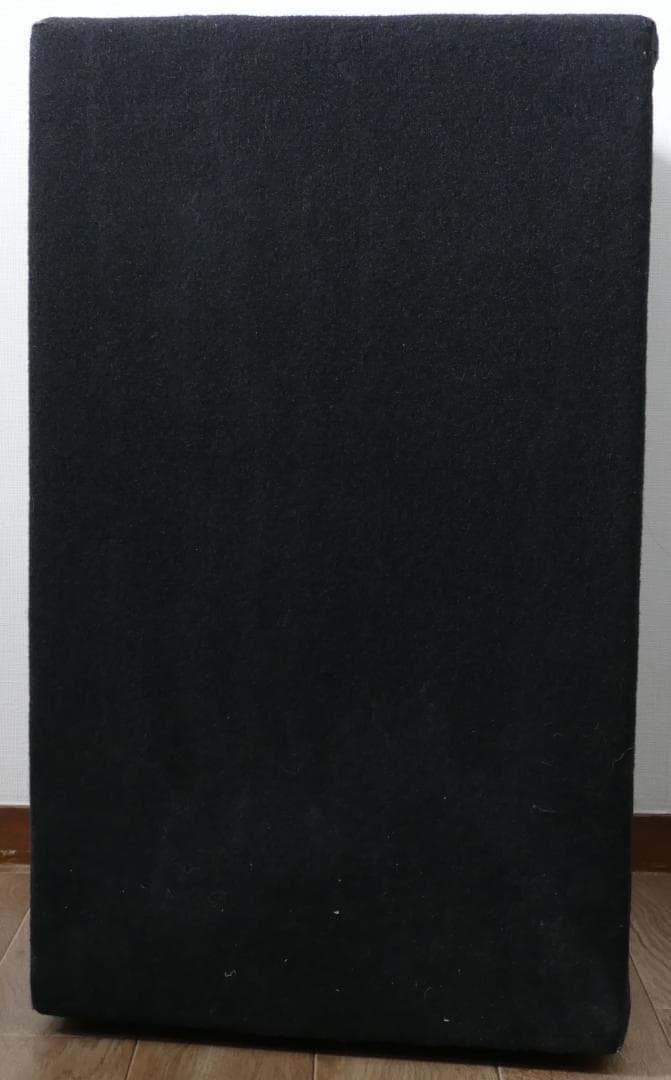 Electoro Voice Force i ペア