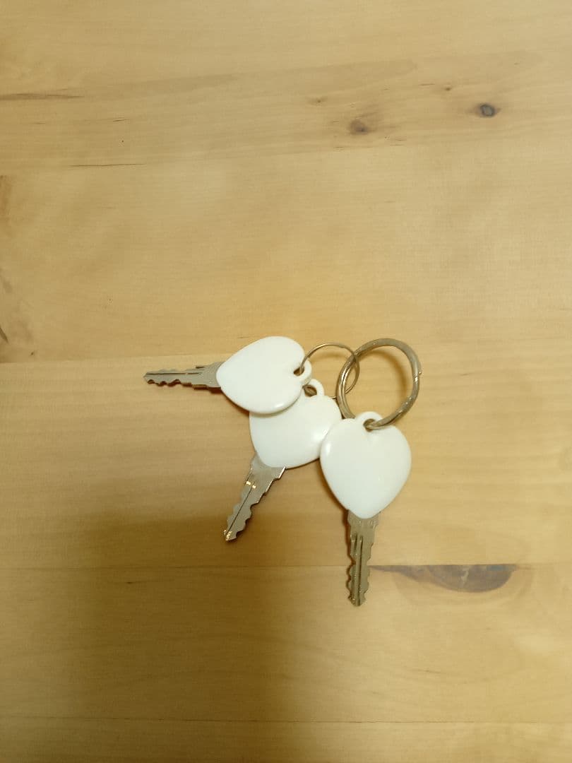 【cocopelliさま専用①】引き出し