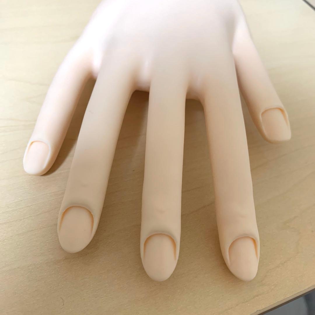 【美品】JNEC認定モデルハンド　両面テープ、キューティクルシール付き