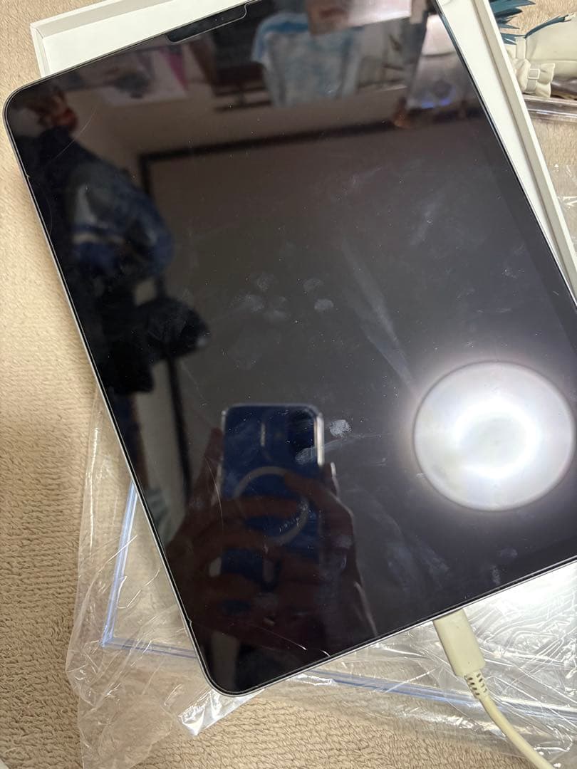 おまけ付き　Apple iPad Pro 11インチ　モデル第4世代　本体