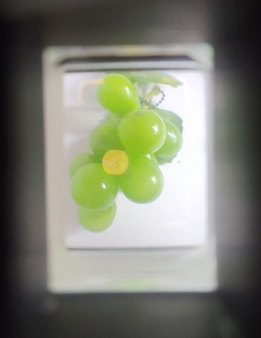 RICOH AUTO HALF S（動作美品）