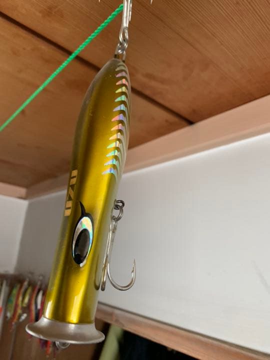 超激レア、UZU立派なジョニー柴犬メス