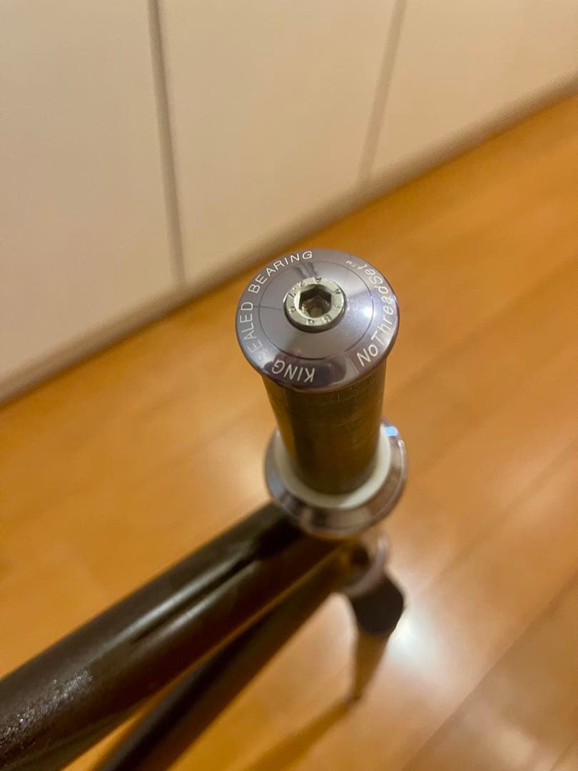 Affinity Cycles Lo pro + ヘッドセット