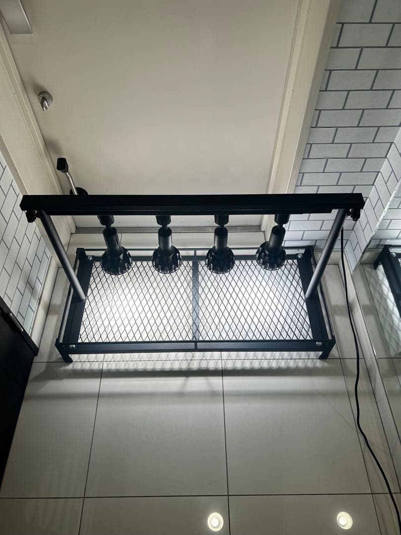ミニ植物棚　アガベ　シーザー　ハデス　パキプス　塊根　グラキリス　白鯨　塊根植物