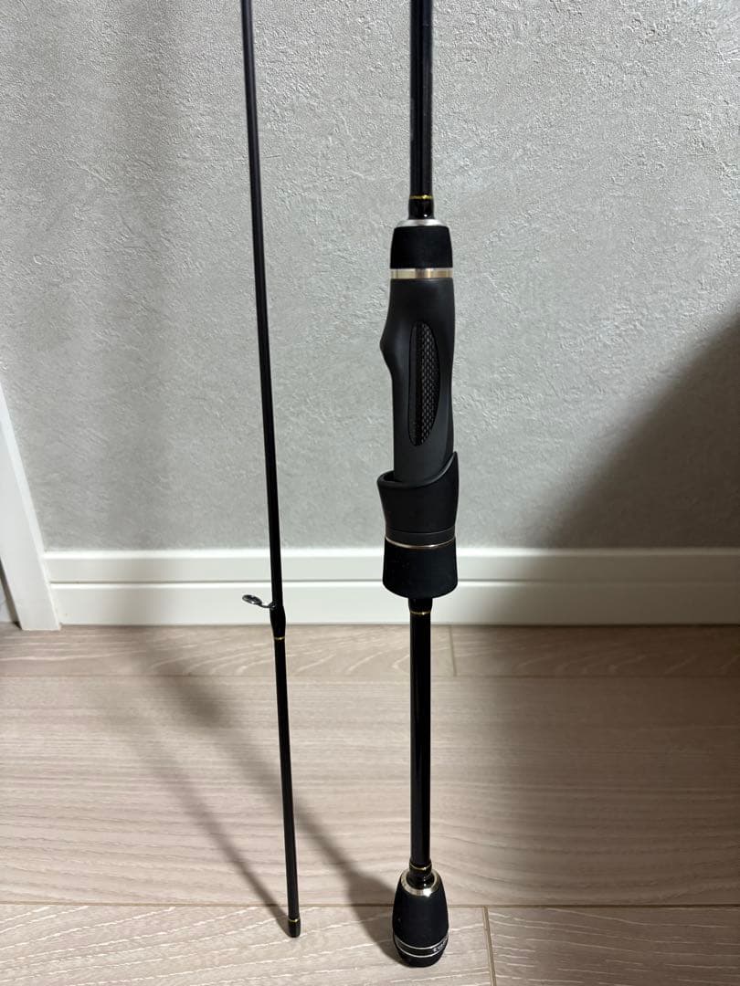 テイルウォーク アジストSSD 510