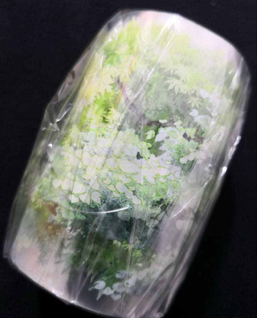 【8363】海外　マステ　5m巻売り　PETマスキングテープ