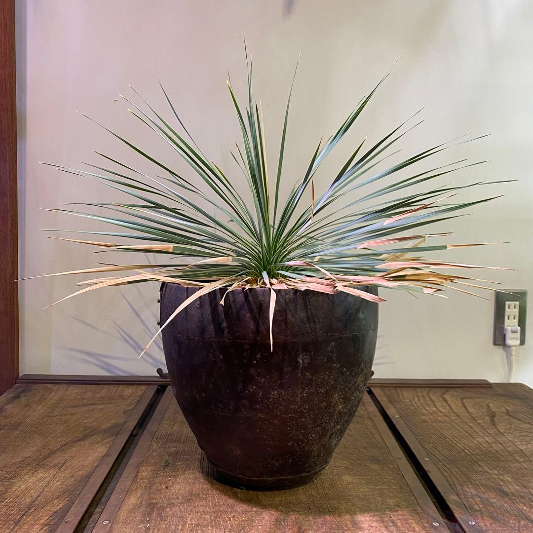 古物 打合鉄器 アンティーク