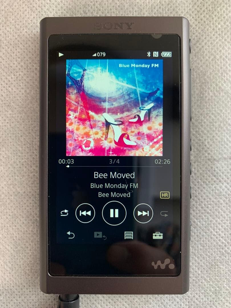 SONY NW-A55 デジタルオーディオプレーヤー　説明を読んで購入願います。