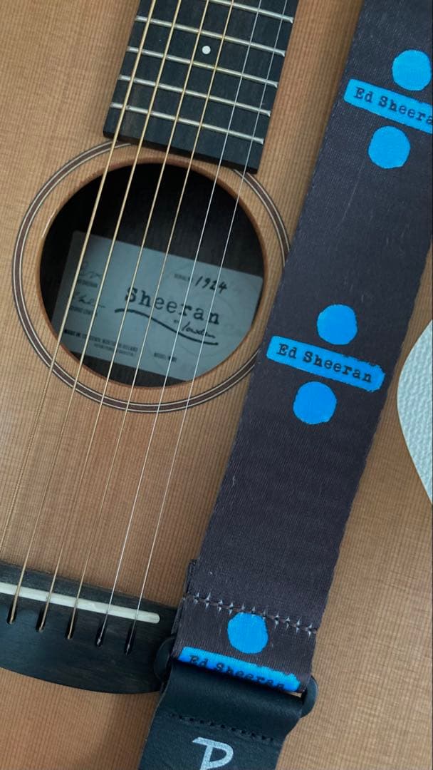 Sheeran by Lowden W01 ローデン　エドシーラン