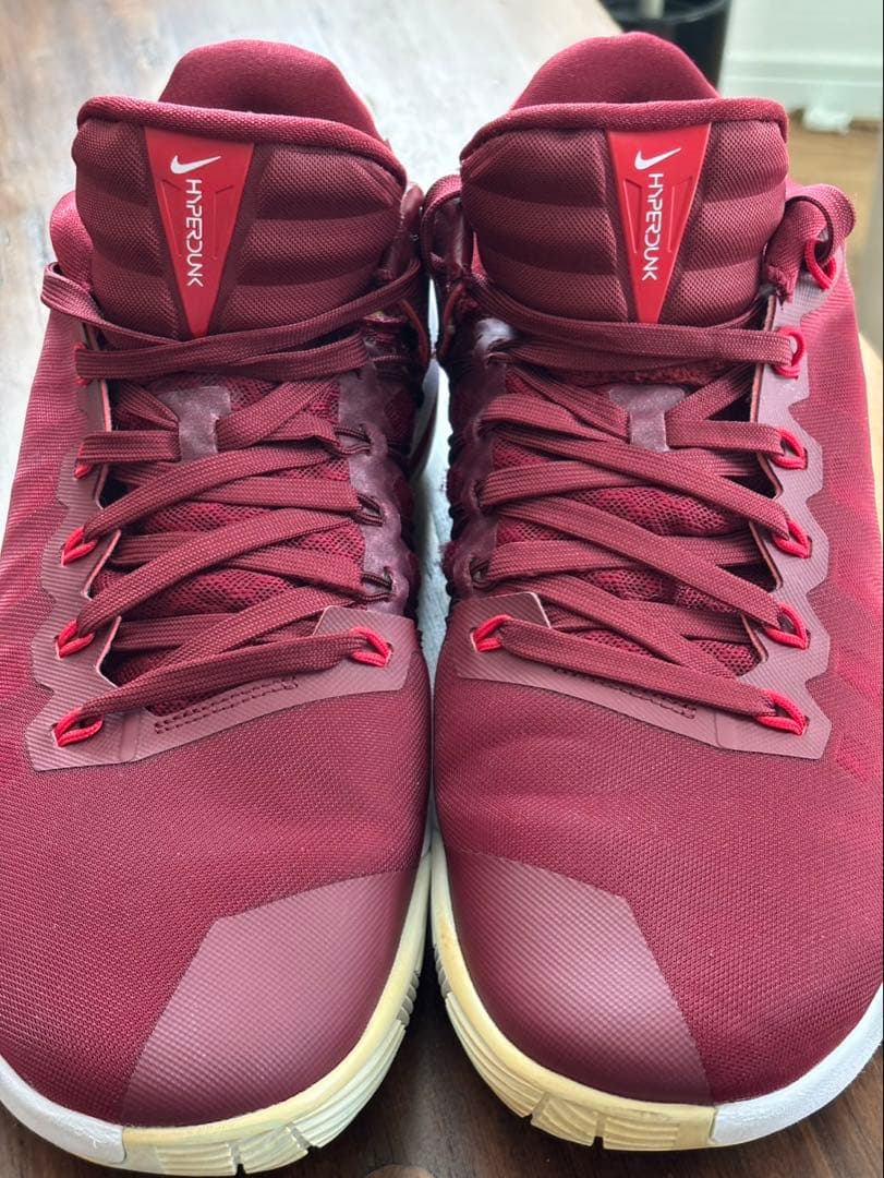 NIKE ハイパーダンク2016 ローカットタイプ