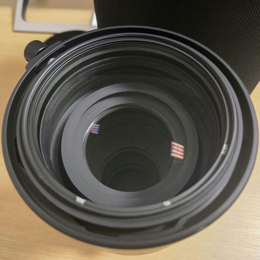 Sigma 150-600mm F5-6.3 DG DN OS ソニーEマウント