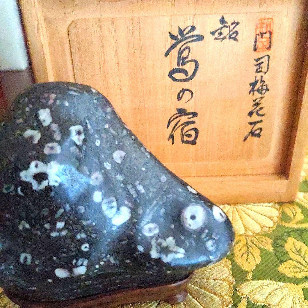 【最終価格】梅花石　銘、鶯の宿　梅の里　日本愛石館館長　小森宗閑翁