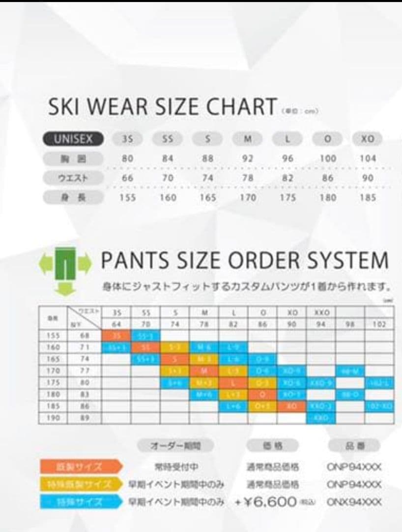 サロモン/オンヨネ　スキーウェア　ジャケット＆パンツセット【L】