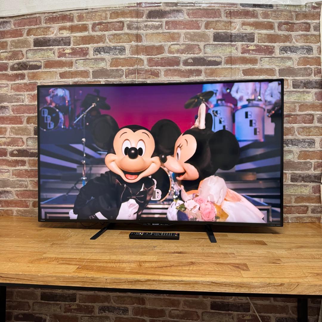 シャープ 50V型 液晶テレビ AQUOS LC-50W30 ネット動画視聴可