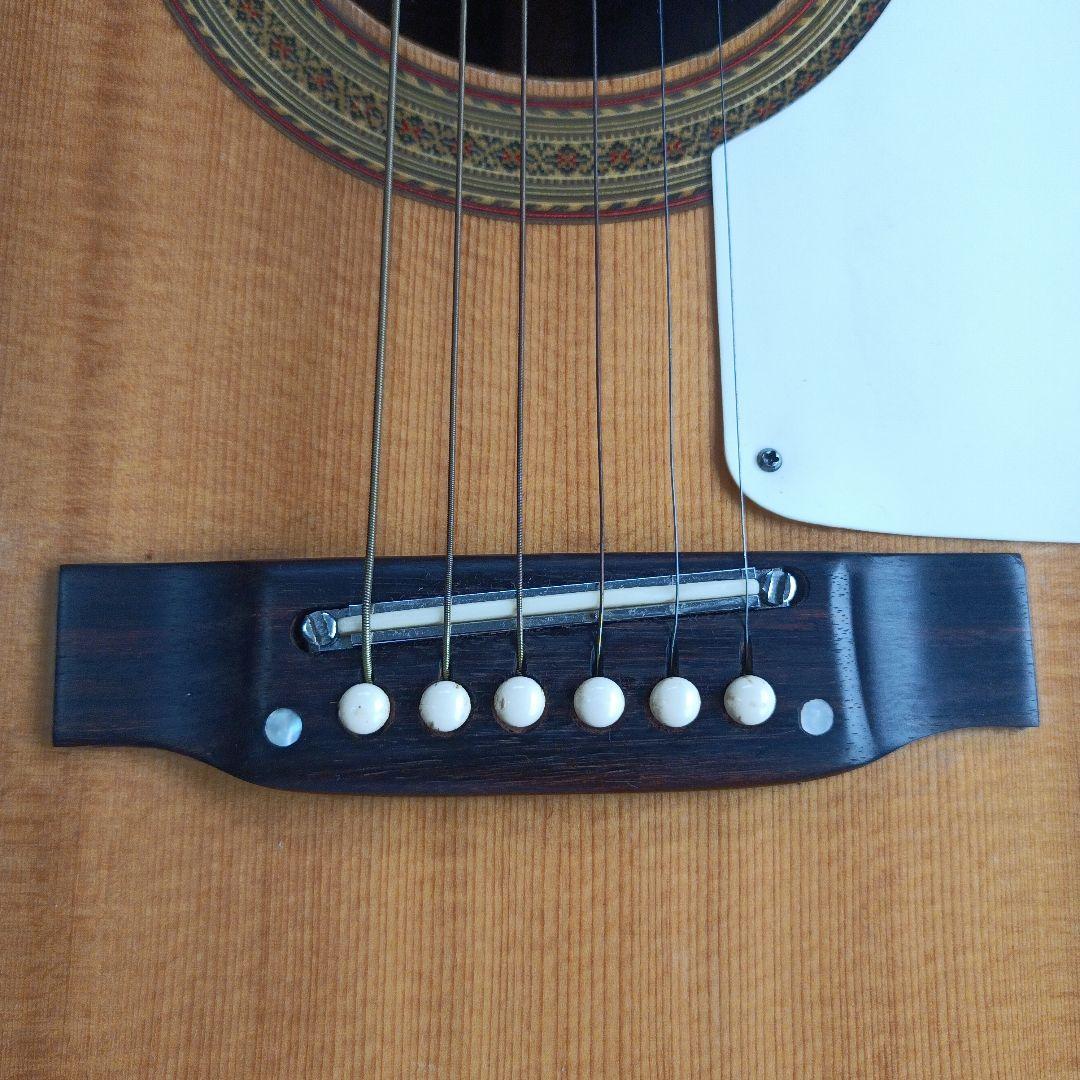 Pearlパール Epiphone TEXAN モデル 林楽器 百瀬さん レトロ