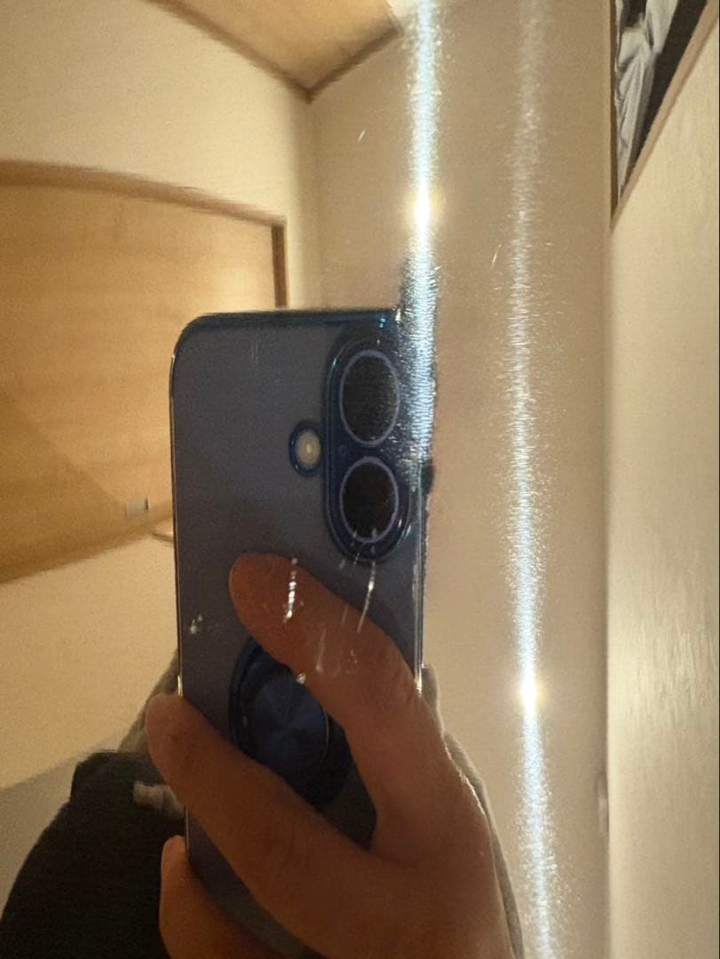 アムウェイ クイーン 10L シチューパン