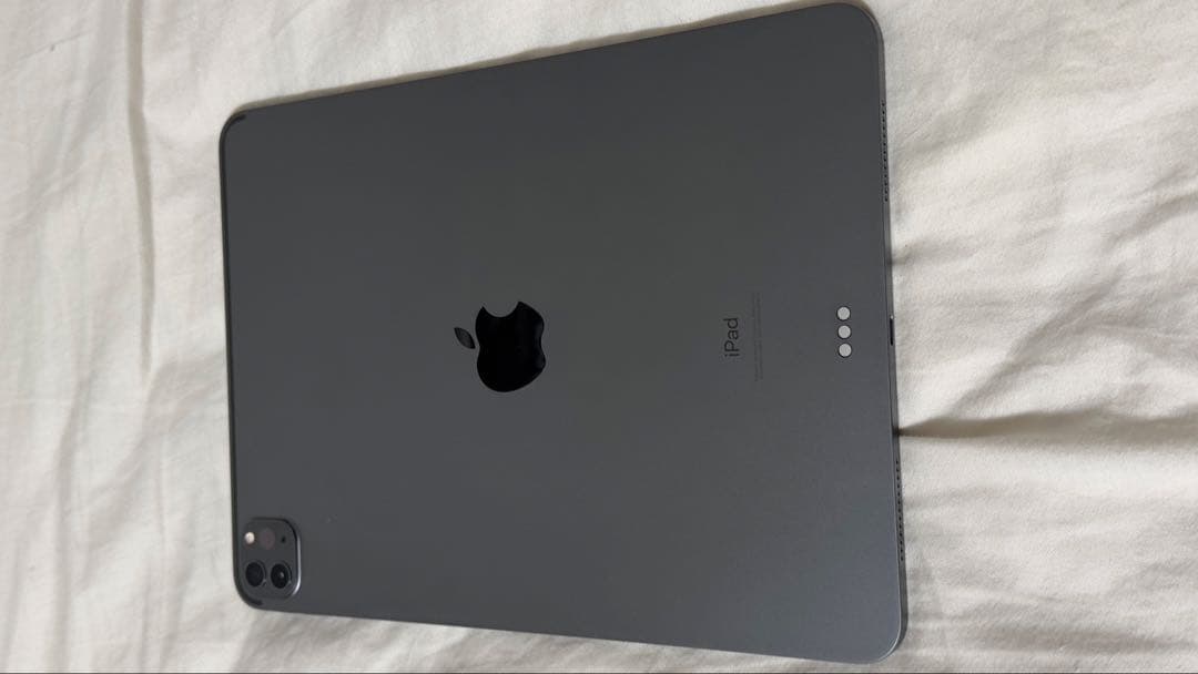 iPad Pro 11インチ 第2世代 256GB アップルペンシル2付