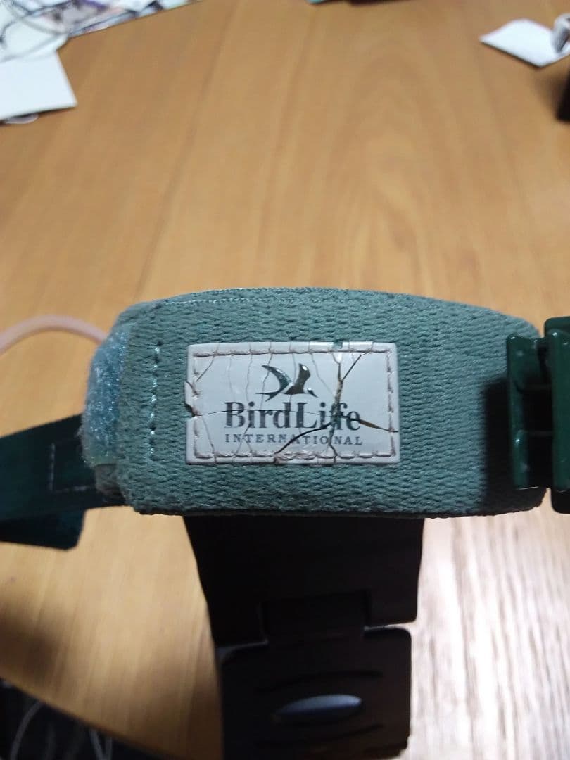 CASIO カシオ PROTREK プロトレック 腕時計PRT-50