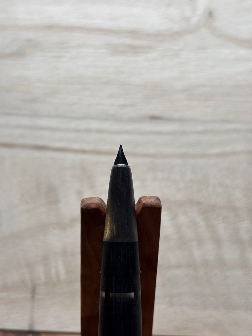 LAMY 2000 万年筆 F