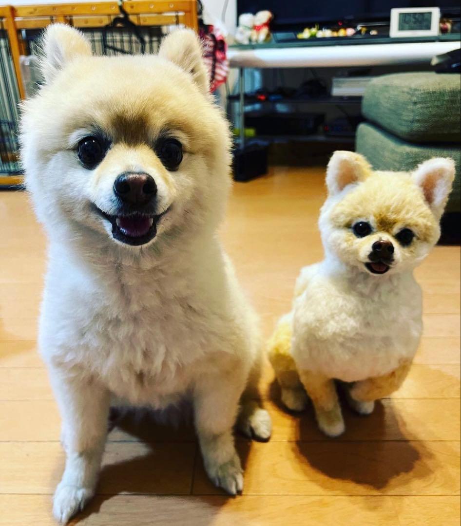 p*o様 わたわたペット　わんこ限定　分身の術　中サイズ　(20センチ程)羊毛フ