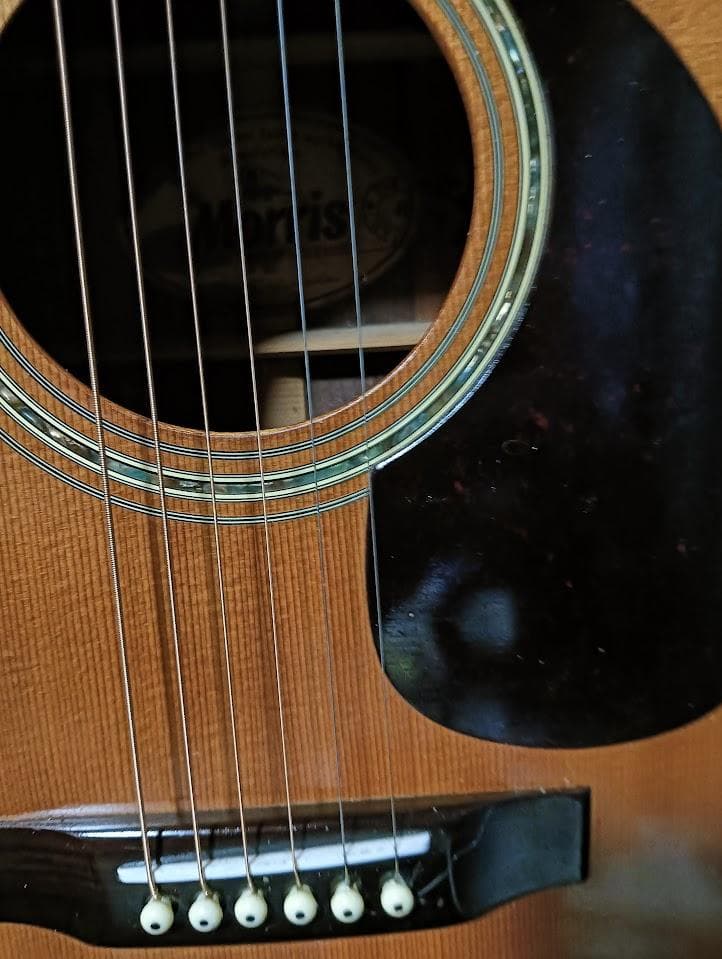 Morris アコースティックギター W30劇鳴り　愛用メンテ品　ダダリオ新弦付