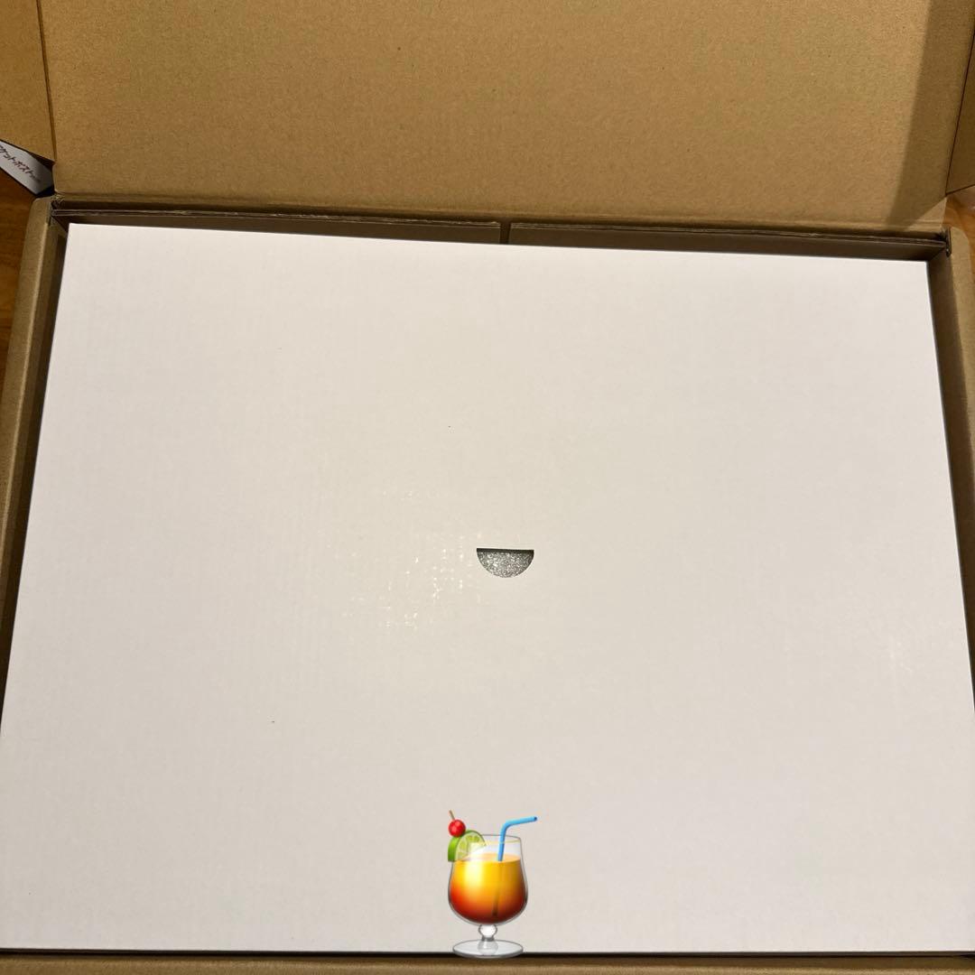 未使用）wisecoco 13.3インチ フレキシブルモニター 折り曲げ可能