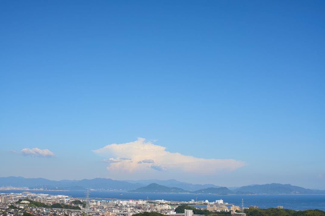 フィルムカメラ Nikon FE / Ai NIKKOR 50mm F1.4