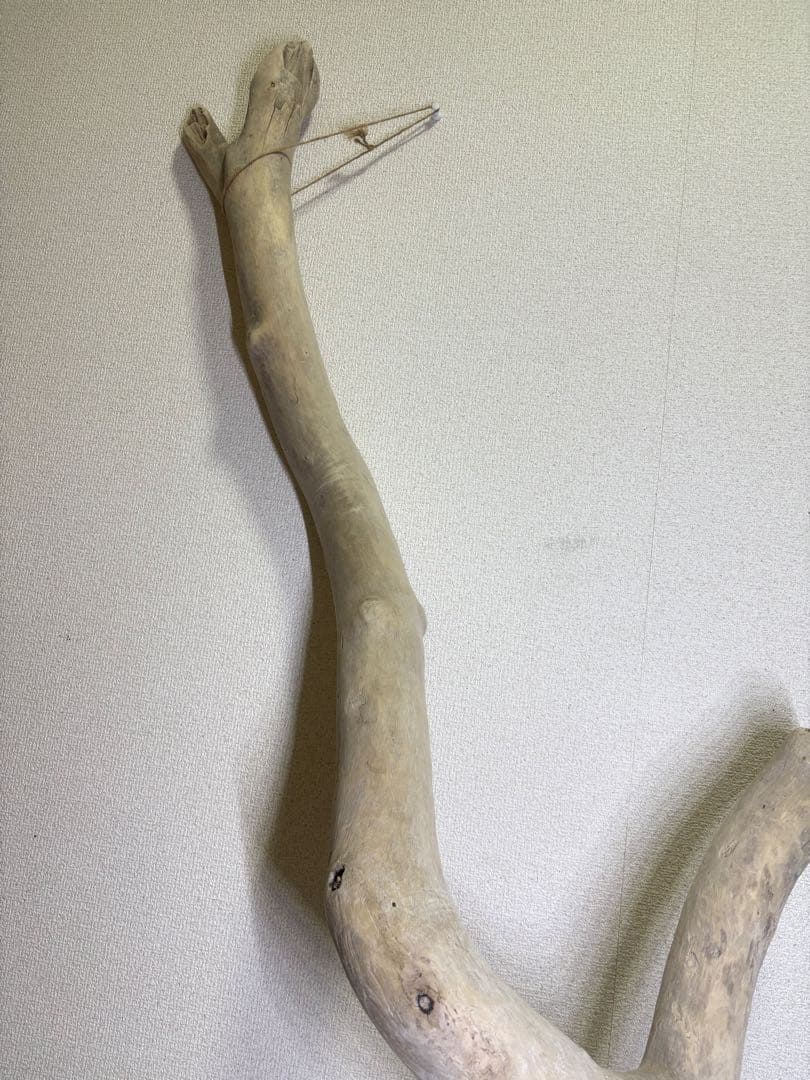 G7 流木　灰汁抜き処理済み　美肌美白特大流木122cm