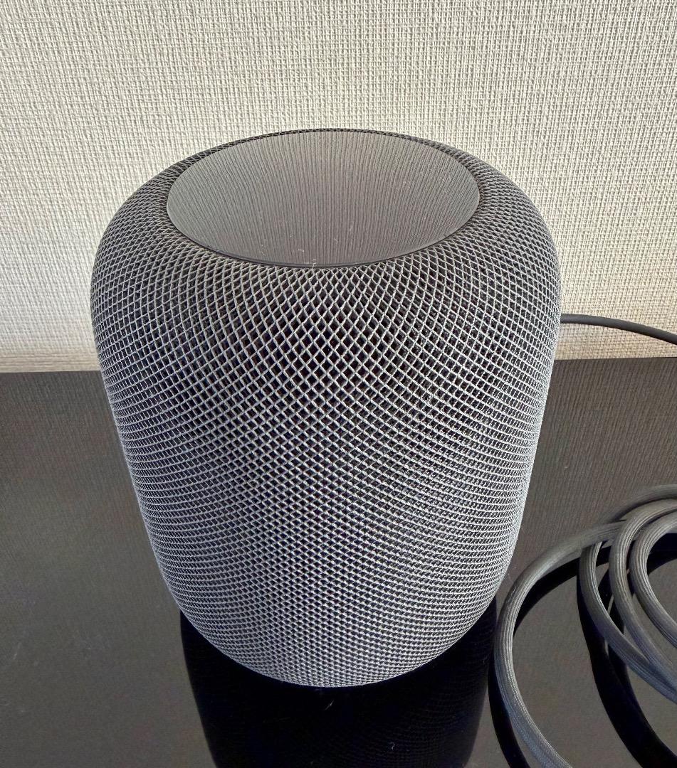 Apple Pod 　第1世代　スペースグレー【美品】　2台セット