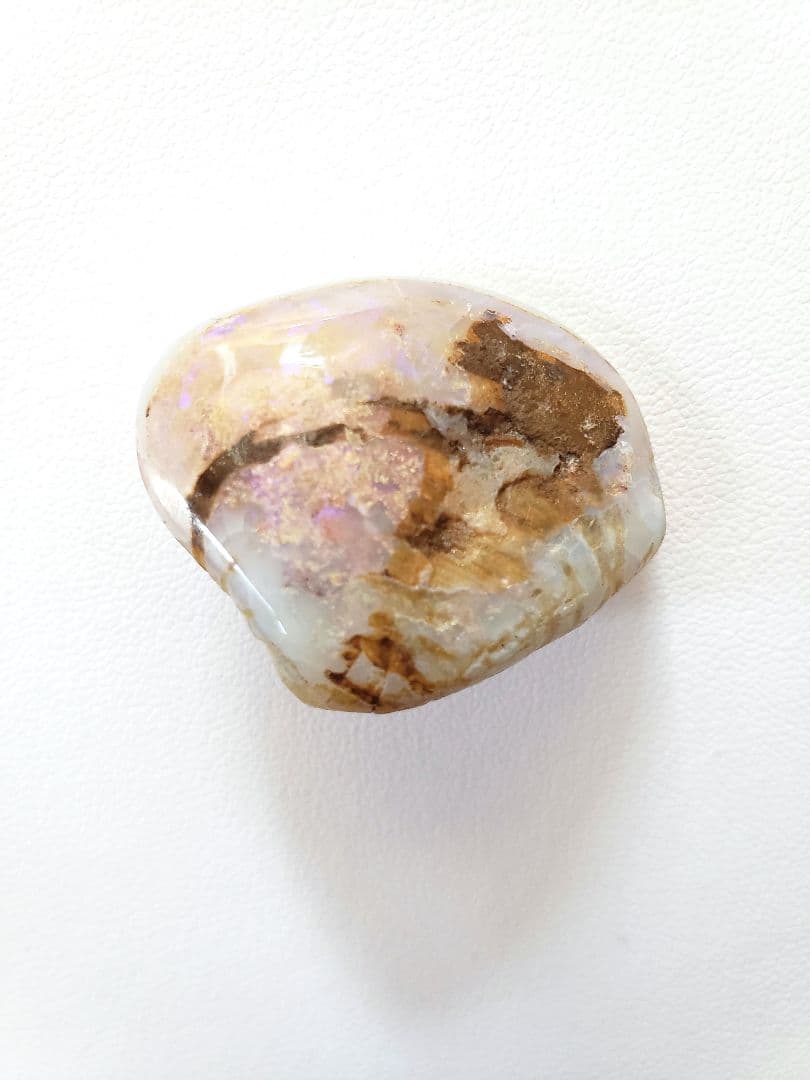 オパール化石　オーストラリアオパール